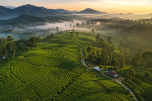 11 Tempat Wisata Alam di Bandung yang Wajib Dikunjungi